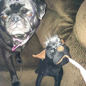 Meet your Posher, Kathie